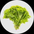 Verduras