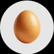 Huevos