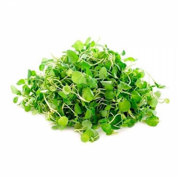 Imagen del producto Berros 1