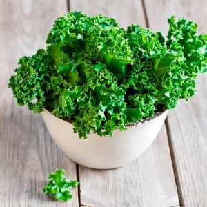 Imagen del producto Kale 2