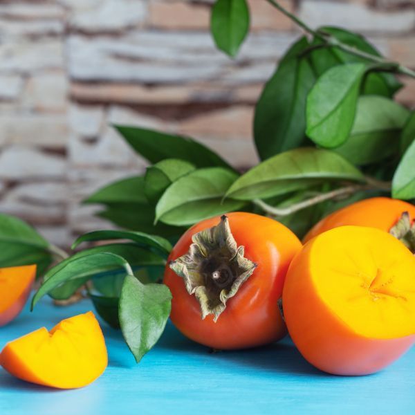 Imagen del producto Mancaqui 2