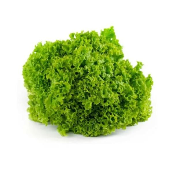 Imagen del producto Lechuga Hidropónica Lollo Bionda.