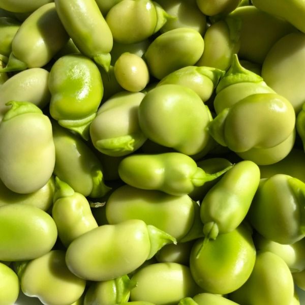 Imagen del producto Habas Congeladas 2