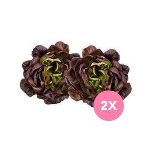 Imagen del producto Lechuga Francesa Pack 1