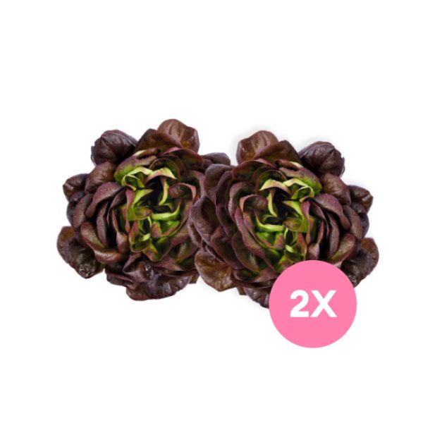 Imagen del producto Lechuga Francesa Pack