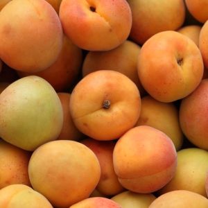 Imagen del producto Damasco 2