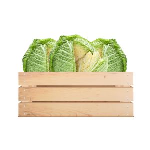 Imagen del producto Caja Repollo Crespo 1