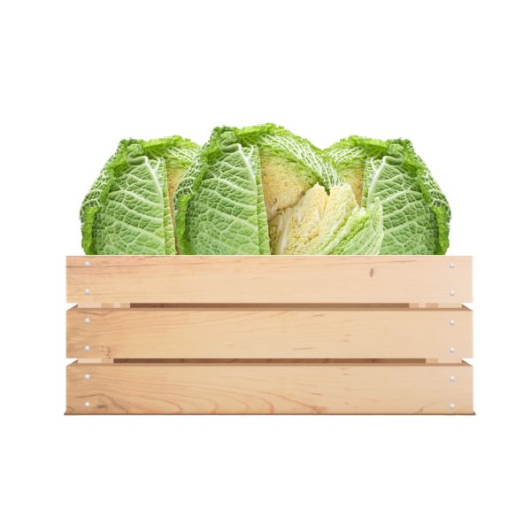 Imagen del producto Caja Repollo Crespo