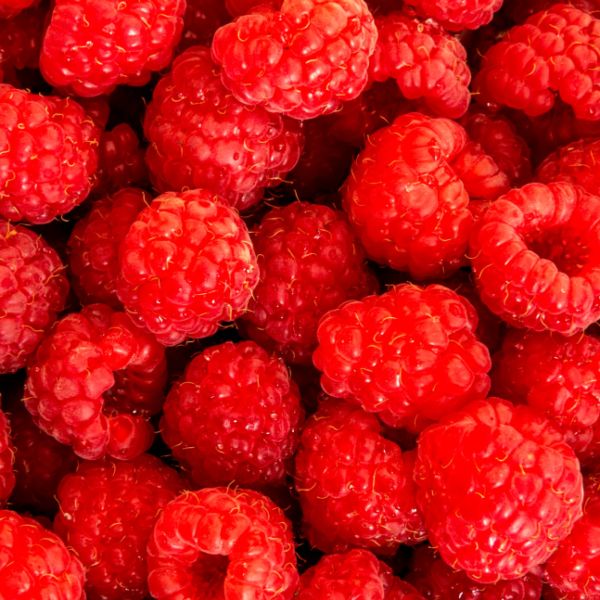 Imagen del producto Frambuesas 2