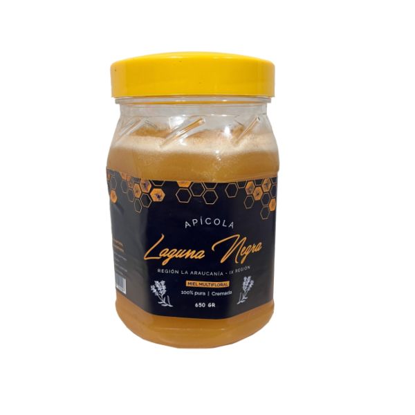 Imagen del producto Miel Multiflora 100% Natural