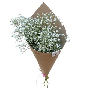 Imagen del producto Ramo Nubecita 1