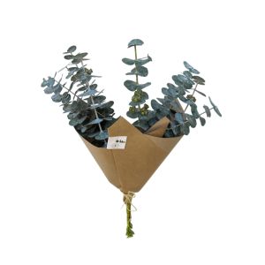 Imagen del producto Eucalipto fresco 1