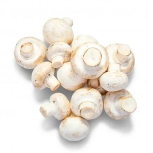 Imagen del producto Champiñon KILO 1