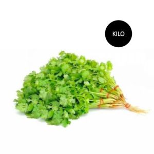 Cilantro KILO K
