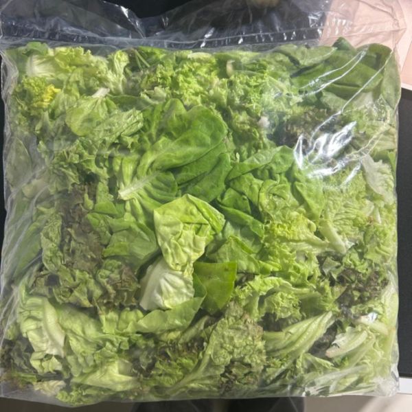 Imagen del producto Lechuga hidropónica Lollo verde KILO 3