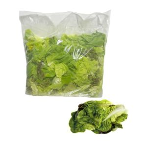 Lechuga hidropónica Lollo verde KILO K