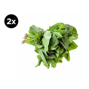 2X Espinaca 2 un x 500grs