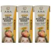 Pack Jugo Manzana Mango 3 un
