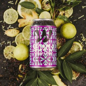 Imagen del producto Ginger Beer Sabor Maqui 2