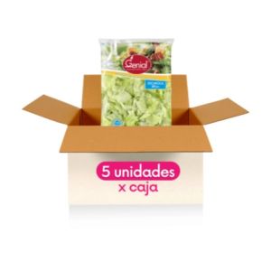 Caja Lechuga Escarola 5 un x 300 grs