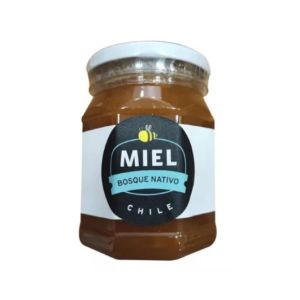 Imagen del producto Miel Bosque Nativo 1