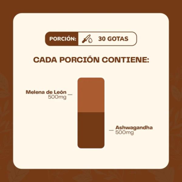 Imagen del producto Extracto de Ashwagandha + Melena de León 4