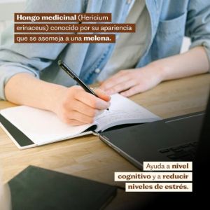 Imagen del producto Extracto de Ashwagandha + Melena de León 5