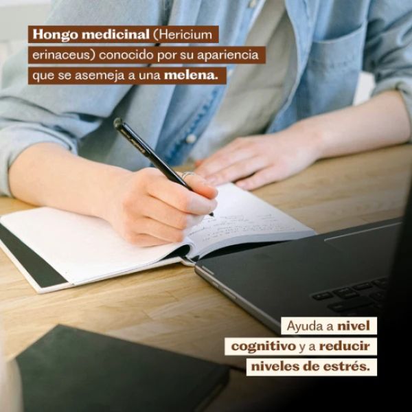 Imagen del producto Extracto de Ashwagandha + Melena de León 5