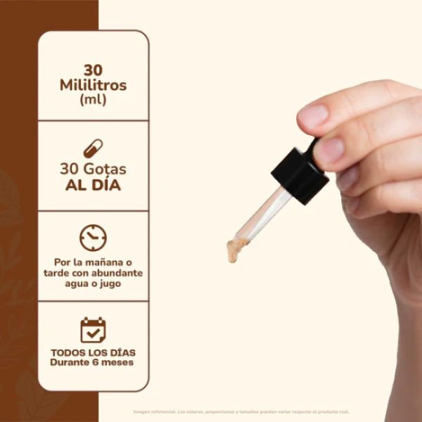 Imagen del producto Concentrado Melena de León 4