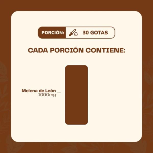 Imagen del producto Concentrado Melena de León 5