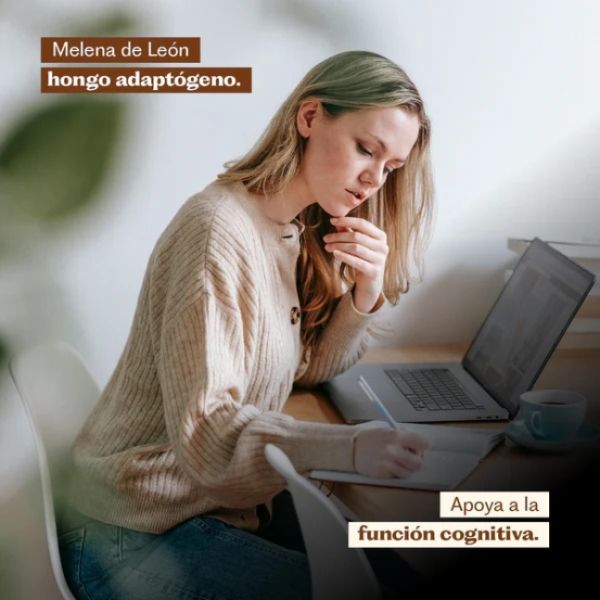 Imagen del producto Concentrado Melena de León 6