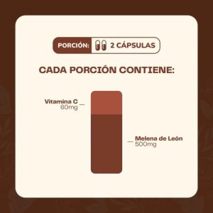 Imagen del producto Melena de Leon Hongo 4