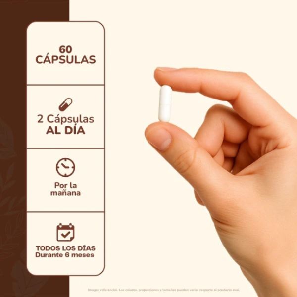 Imagen del producto Melena de Leon Hongo 5