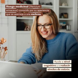 Imagen del producto Melena de Leon Hongo 6