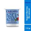 Yogurt griego sabor berries  sin azúcar y sin lactosa