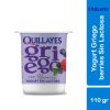 Yogurt griego sin lactosa sabor berries