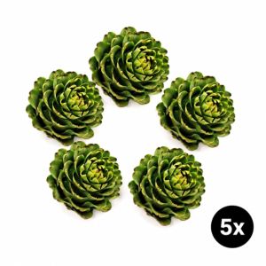 Imagen del producto 5x Alcachofa española 1