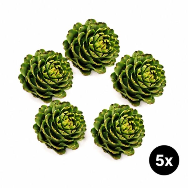 Imagen del producto 5x Alcachofa española 1