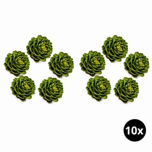 Imagen del producto 10x Alcachofa española 1