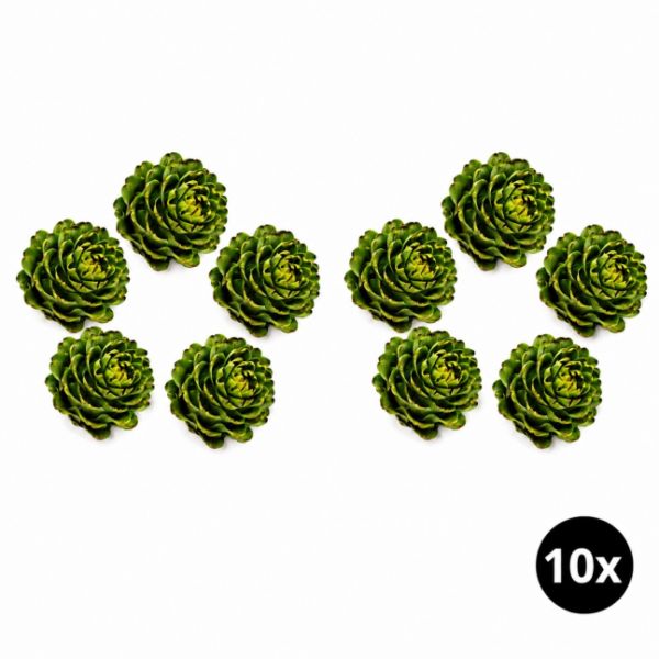 Imagen del producto 10x Alcachofa española