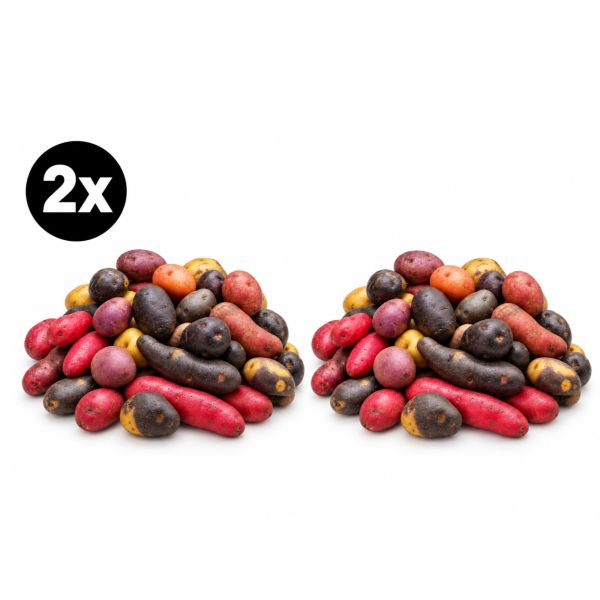 Imagen del producto 2x Papas Nativas Chilotas