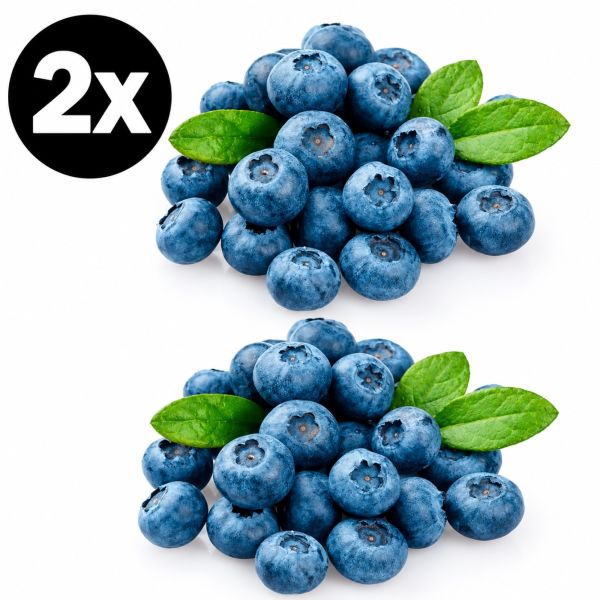Imagen del producto 2X Arándanos