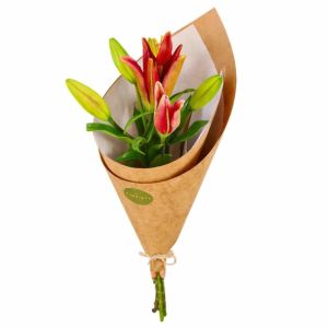 Imagen del producto Lilium 1