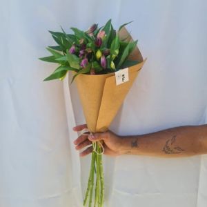 Imagen del producto Alstroemeria 2