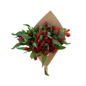 Imagen del producto Alstroemeria 1